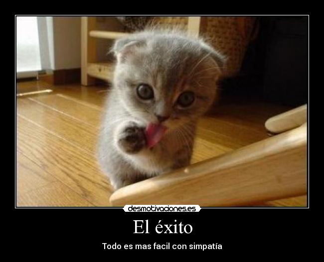 El éxito - 