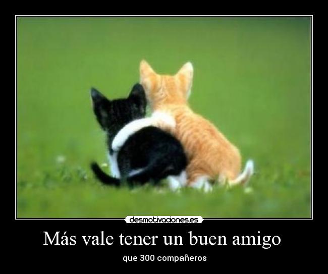 Más vale tener un buen amigo  - 