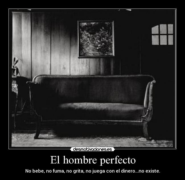 El hombre perfecto - 