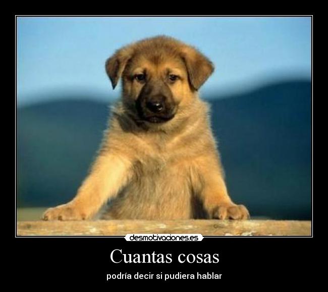 Cuantas cosas - 
