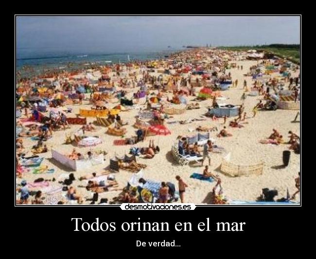 Todos orinan en el mar -
