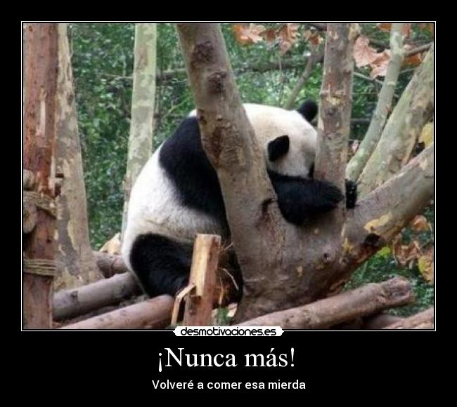 ¡Nunca más! -