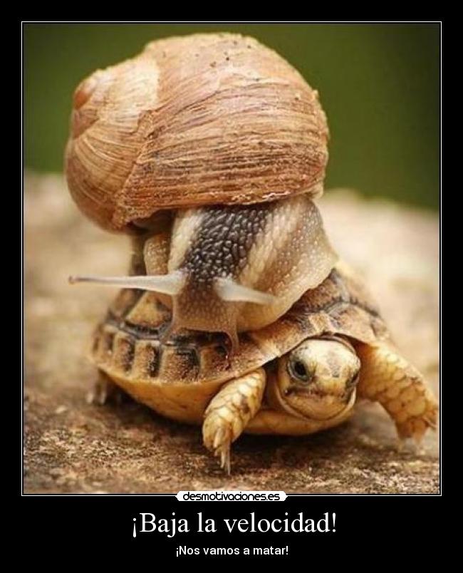 ¡Baja la velocidad! - 