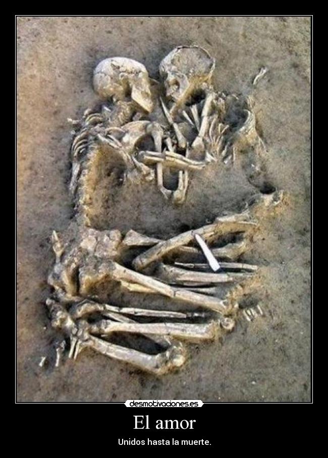 El amor -