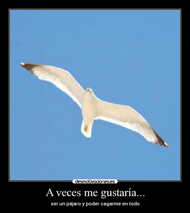 A veces me gustaría... -