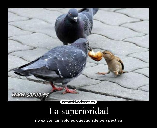 La superioridad - 