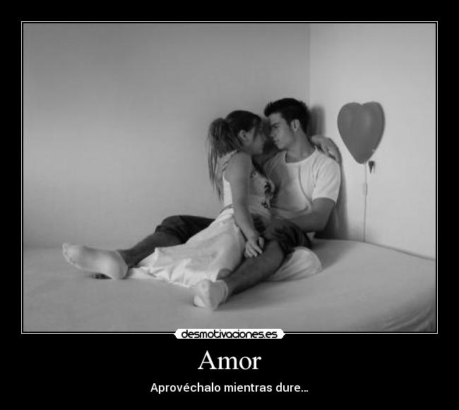 Amor - 
