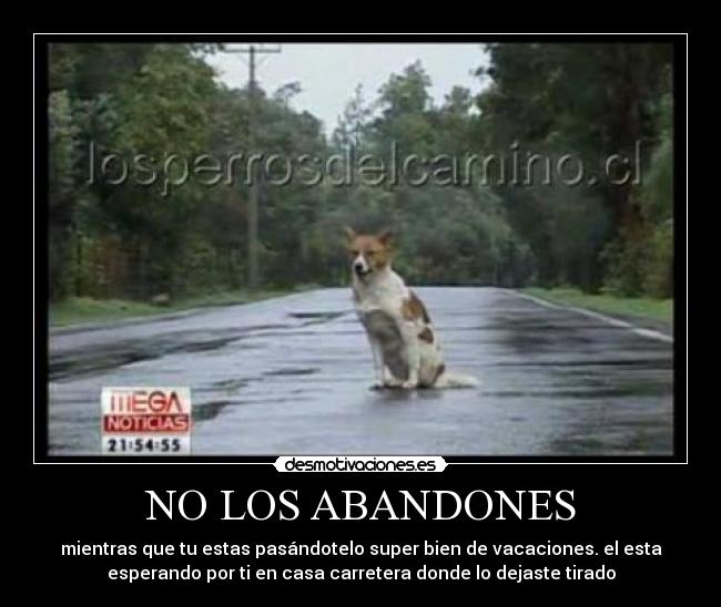 NO LOS ABANDONES -