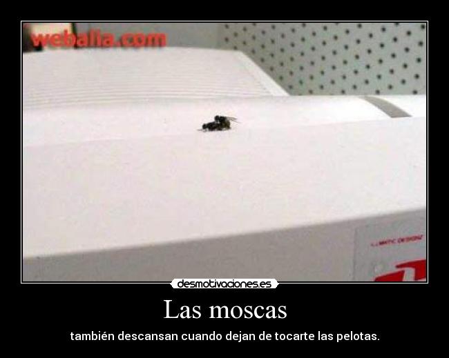 carteles  desmotivaciones