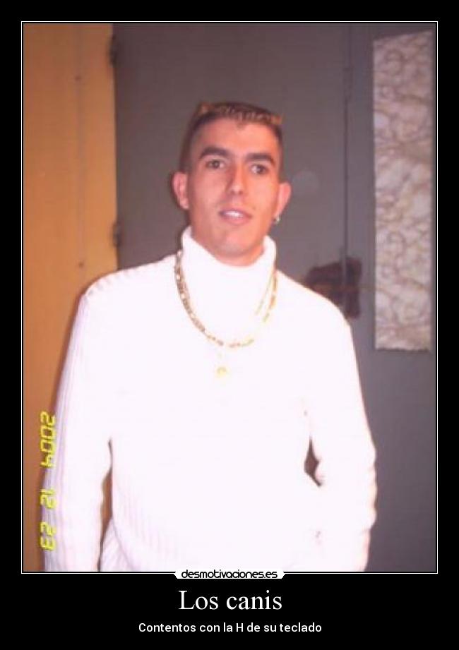 Los canis -