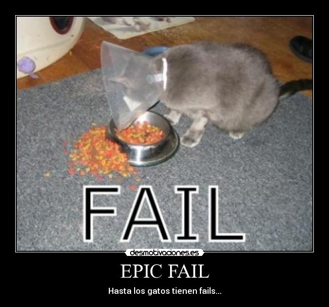 EPIC FAIL - Hasta los gatos tienen fails...