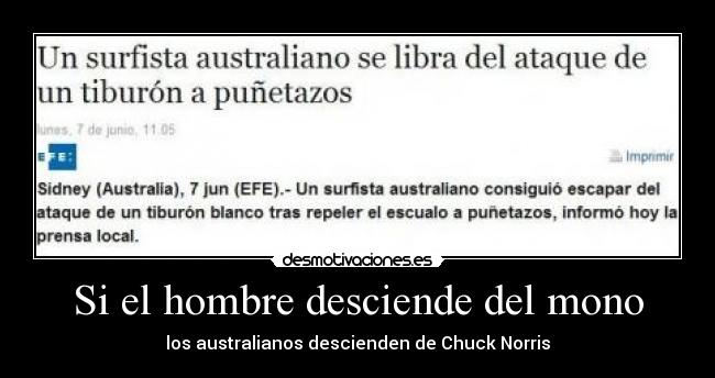 Si el hombre desciende del mono - los australianos descienden de Chuck Norris