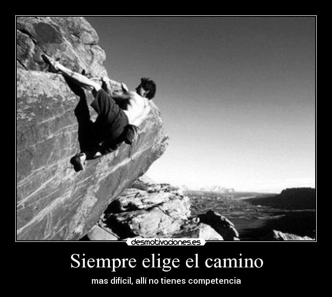 Siempre elige el camino - 