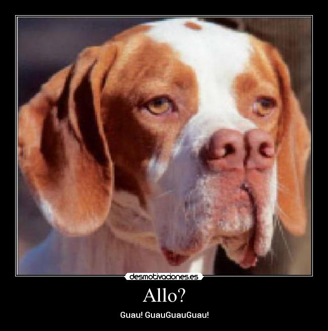 Allo? -