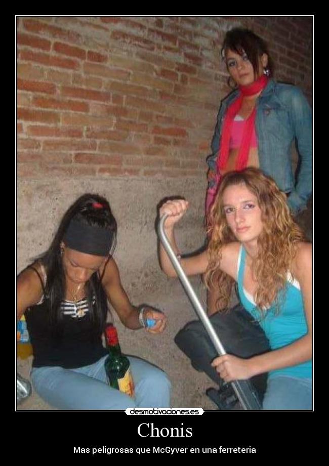 carteles chonis peligro putas desmotivaciones