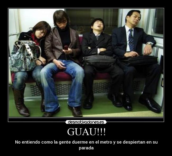 GUAU!!! - 