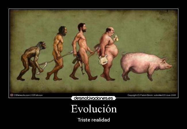 Evolución - 