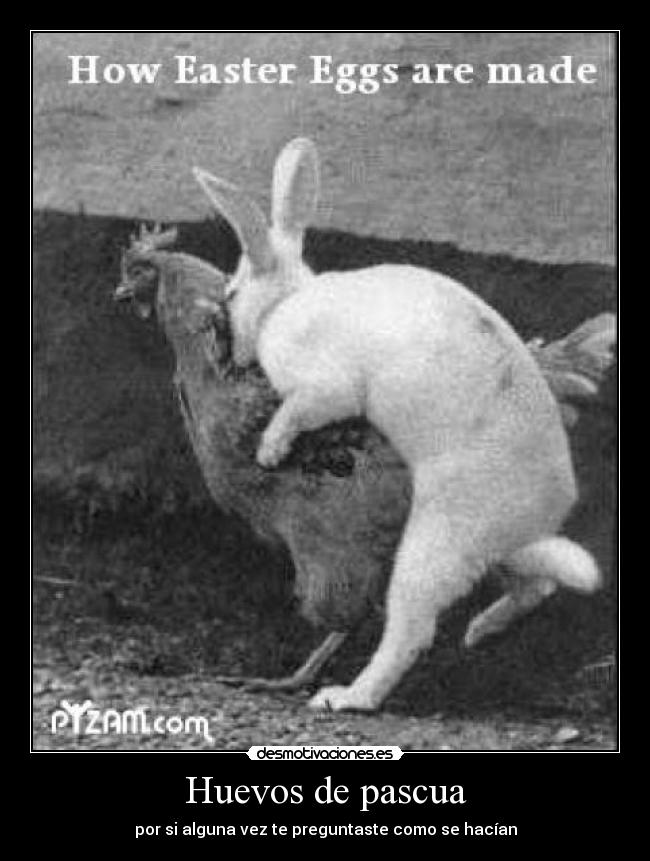 Huevos de pascua -