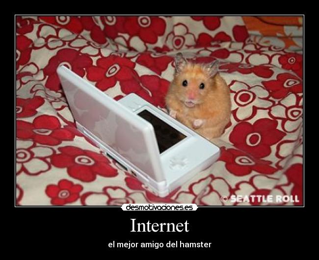 Internet - 