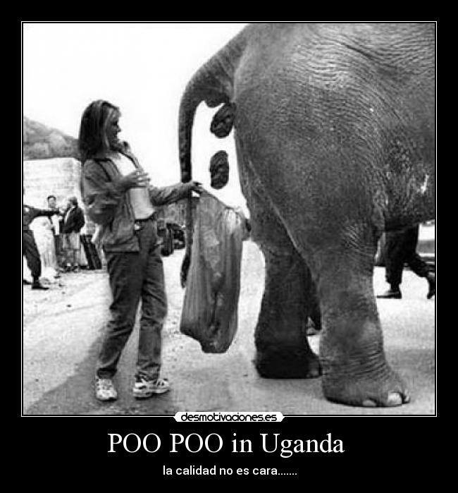 carteles politica desmotivaciones