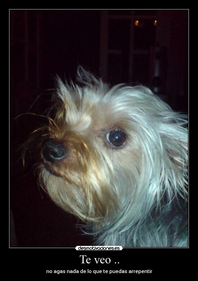 Te veo .. - 