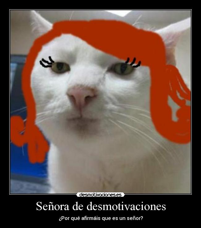 carteles desmotivaciones senor desmotivaciones desmotivaciones