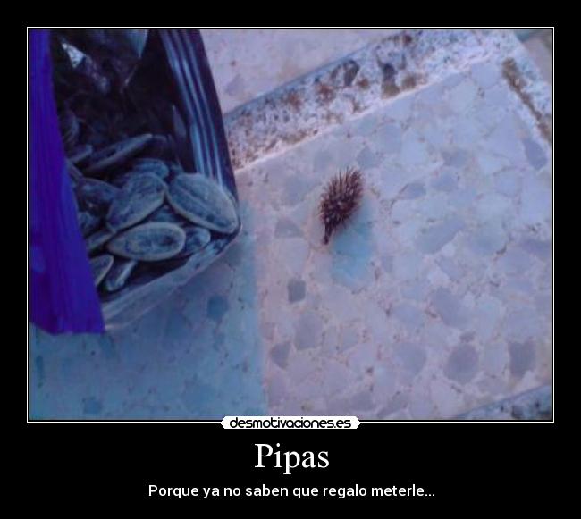 carteles pipas regalos pincho comida desmotivaciones