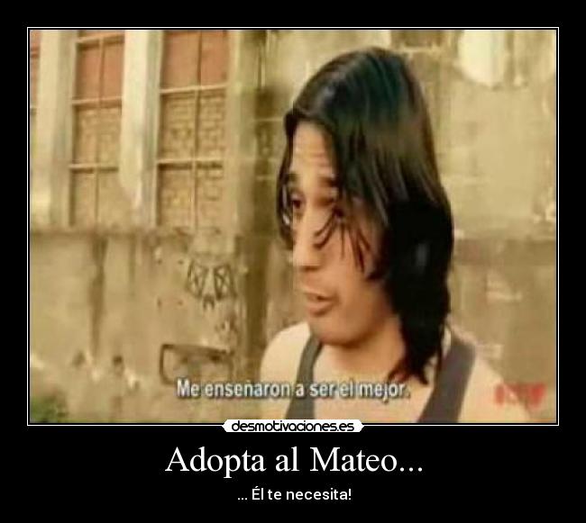 carteles mateo malviviendo adoptar serie internet web risas sevilla desmotivaciones