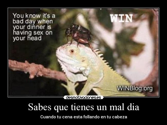 Sabes que tienes un mal dia -