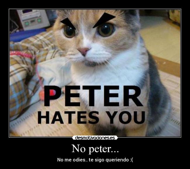 No peter... - No me odies.. te sigo queriendo :(