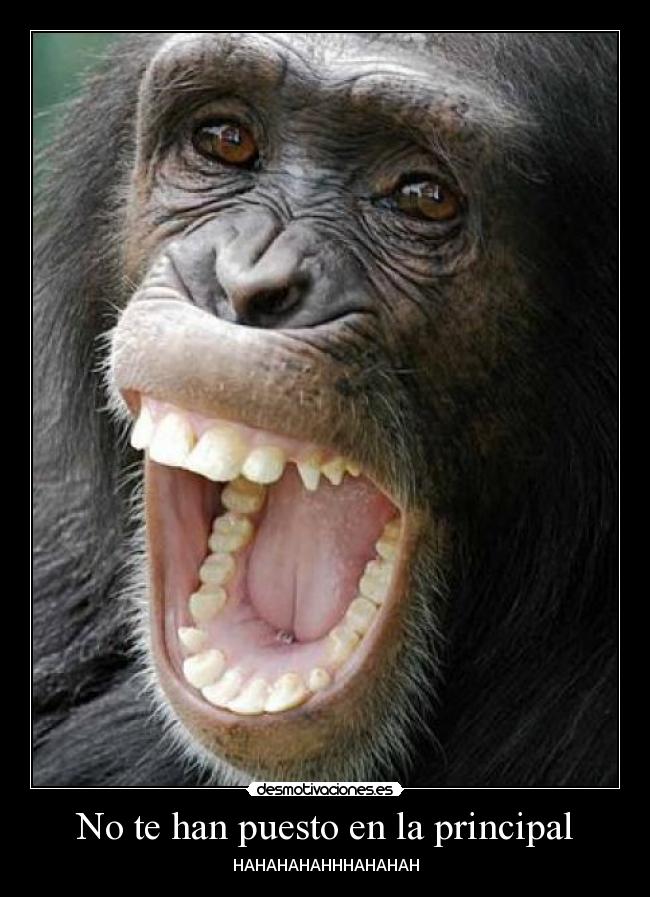 No te han puesto en la principal - HAHAHAHAHHHAHAHAH