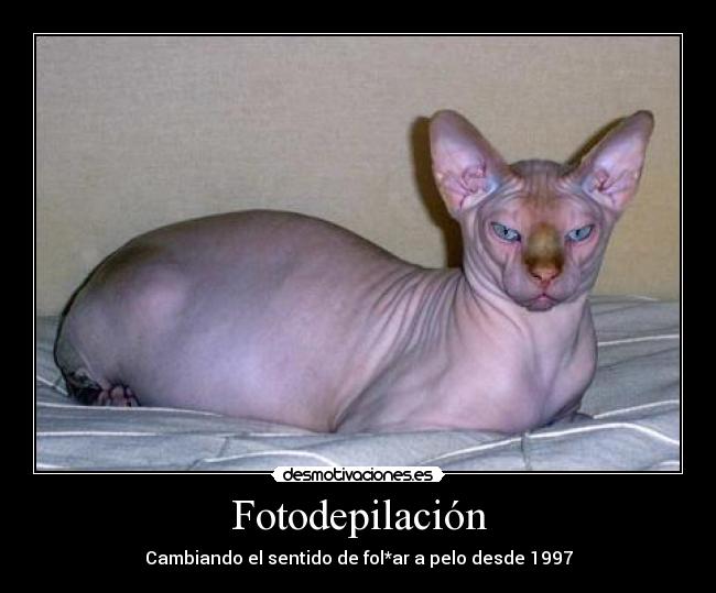 carteles desmotivaciones