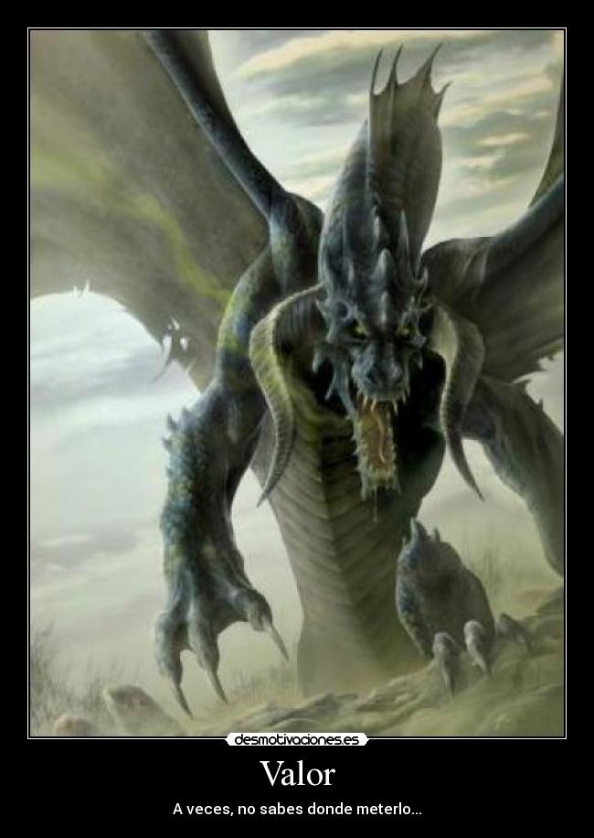 carteles valor dragon desmotivaciones