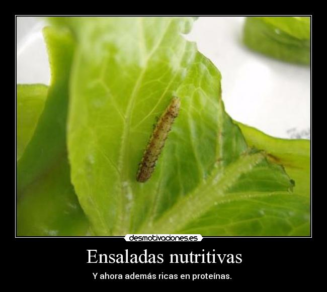 Ensaladas nutritivas -