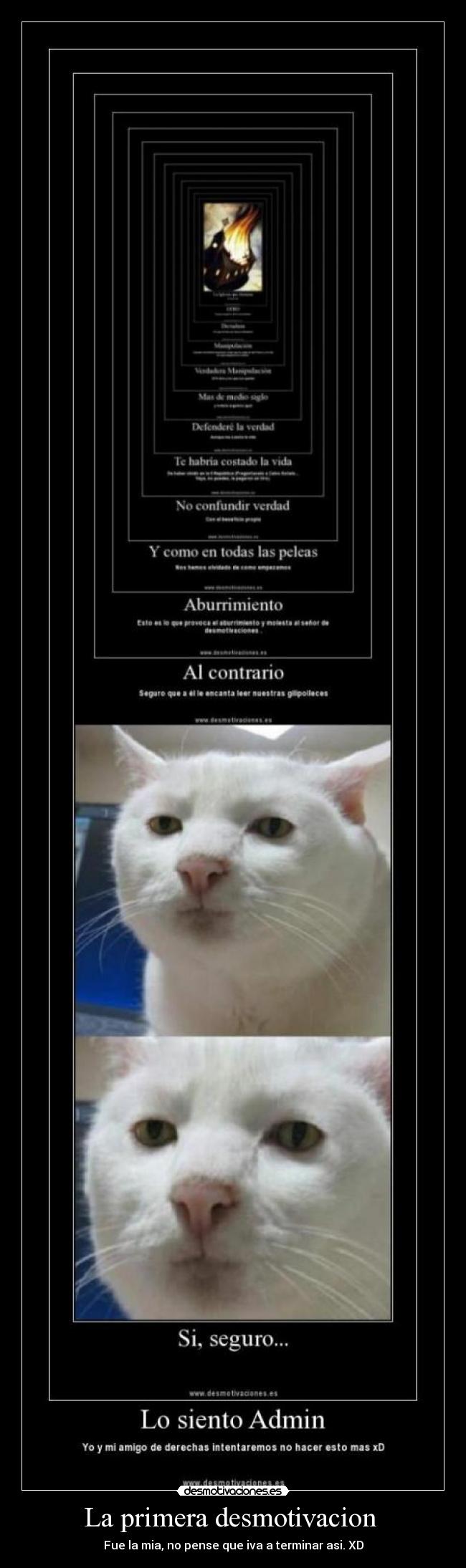 La primera desmotivacion - Fue la mia, no pense que iva a terminar asi. XD