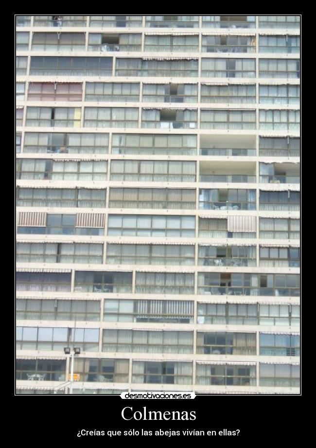Colmenas - 