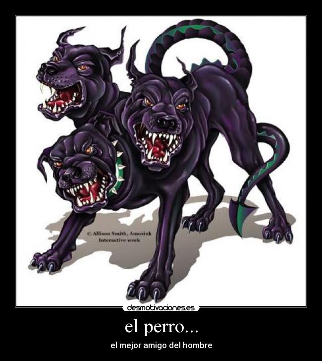 el perro... - 