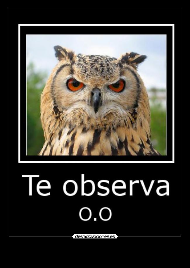 carteles buho observa mazo puede ser porno pero desmotivaciones