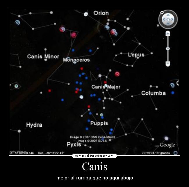 Canis - 