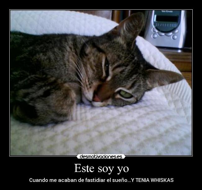 carteles desmotivaciones