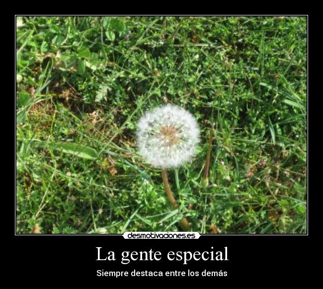 La gente especial - 