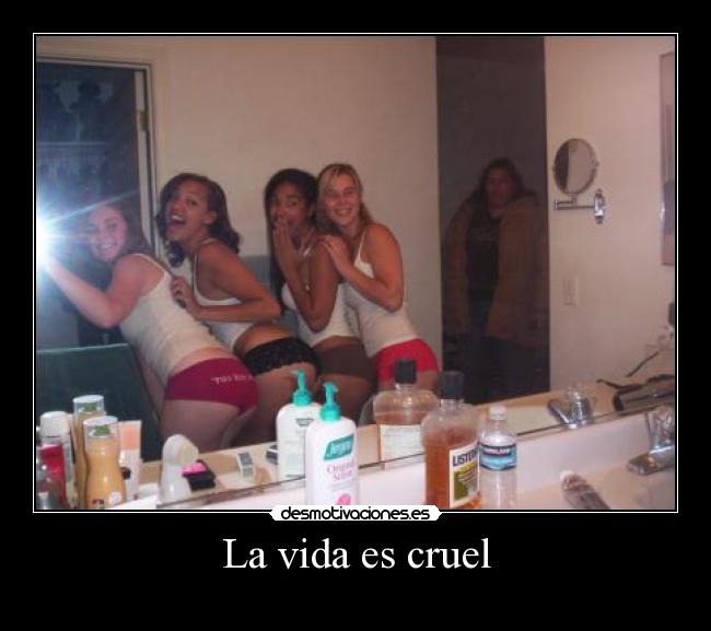 carteles vida iglesia arder politica etc wtf lol desmotivaciones