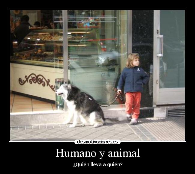 Humano y animal - 