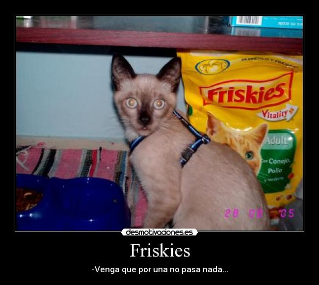 Friskies - 