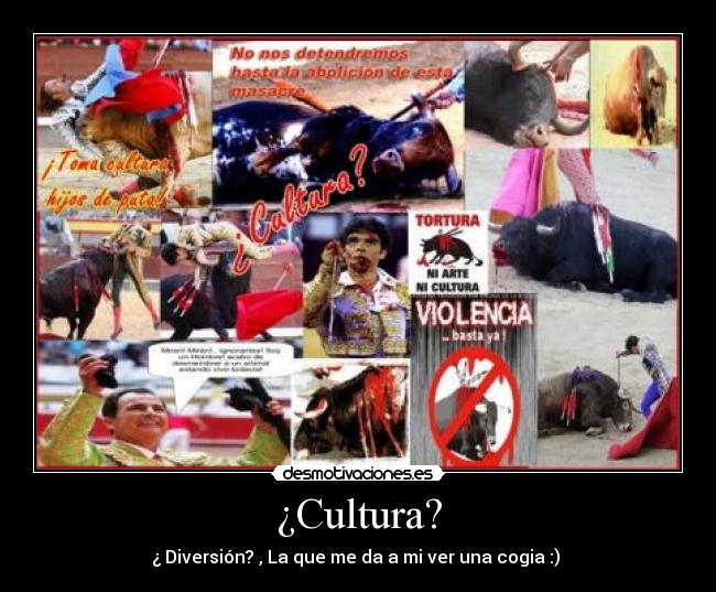 ¿Cultura? -