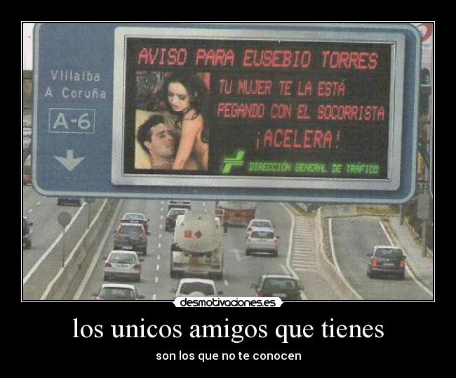los unicos amigos que tienes -