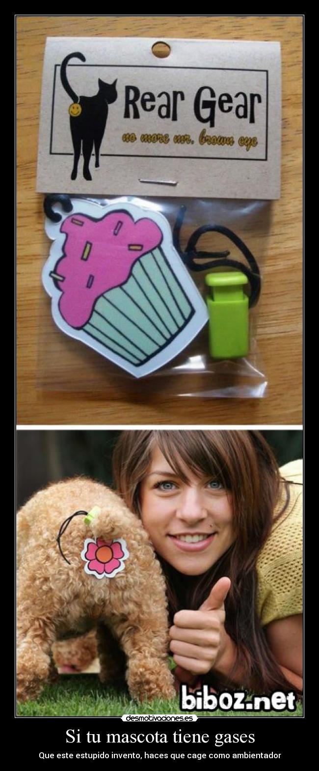 Si tu mascota tiene gases - Que este estupido invento, haces que cage como ambientador