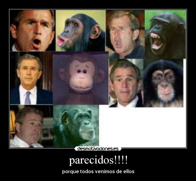 parecidos!!!! -