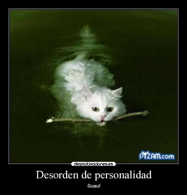 Desorden de personalidad -