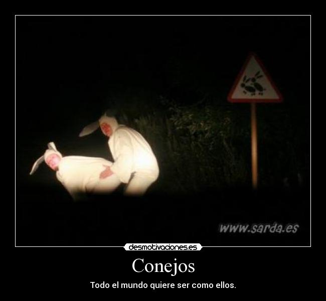 Conejos -